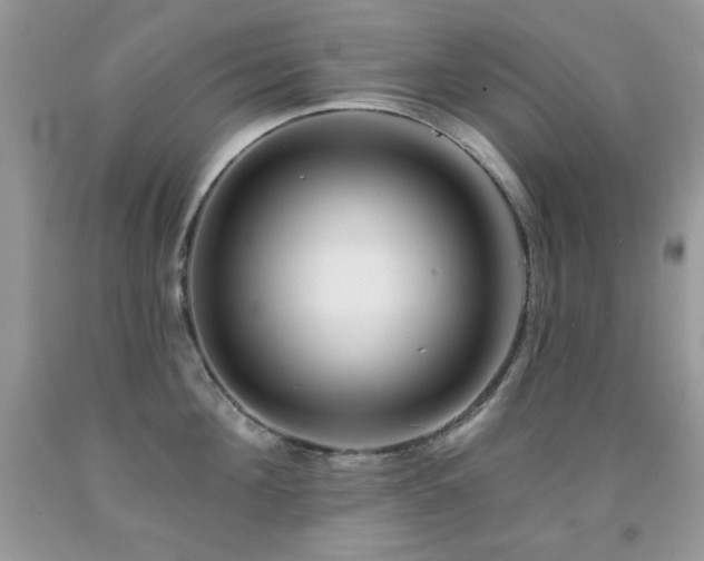 X0000092010908200709061529