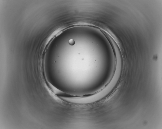 X0000092010909200709061529