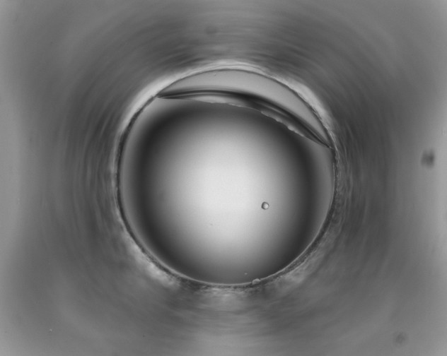 X0000092010910200709061529