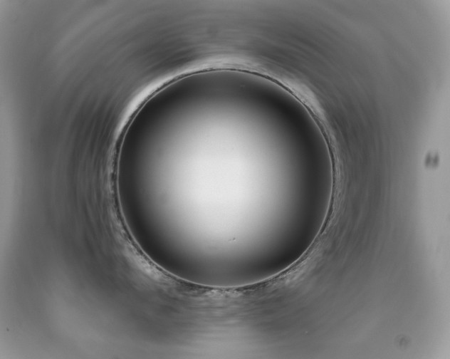 X0000092010912200709061529