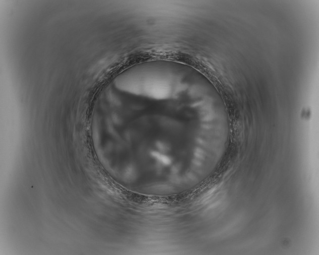 X0000092010913200709061529