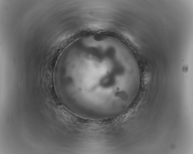 X0000092010917200709061529