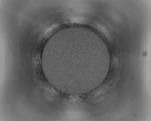 X0000092010918200709061529