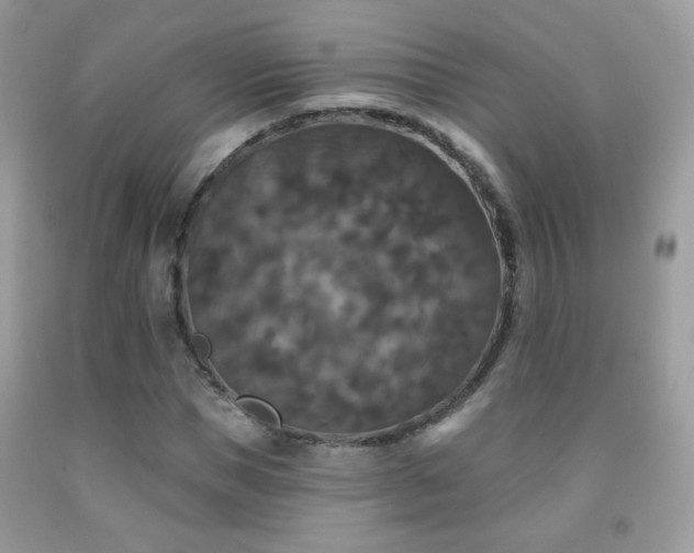 X0000092010921200709061529