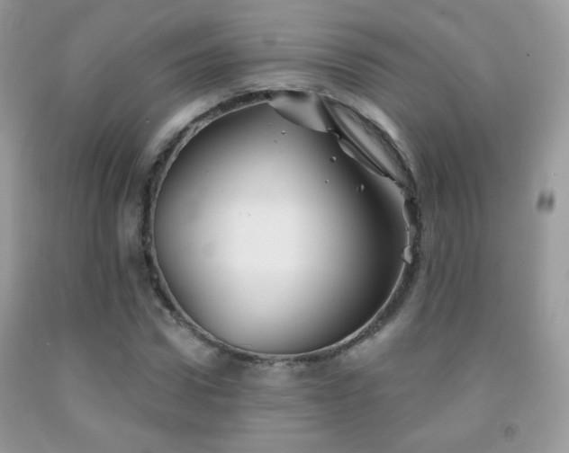 X0000092010922200709061529