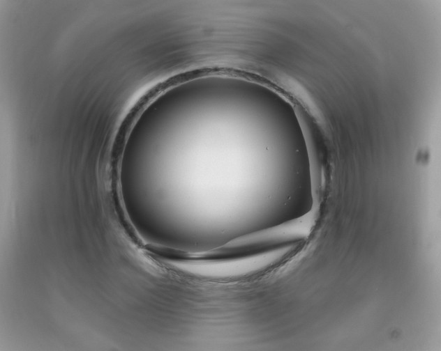 X0000092010924200709061529