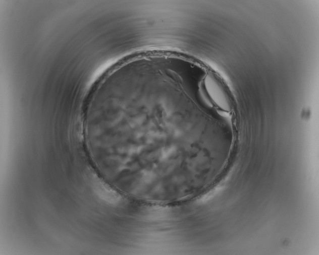 X0000092010925200709061529