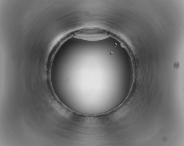 X0000092010927200709061529