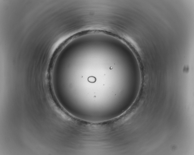 X0000092010928200709061529