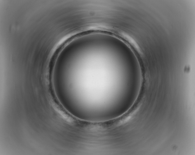 X0000092010931200709061529