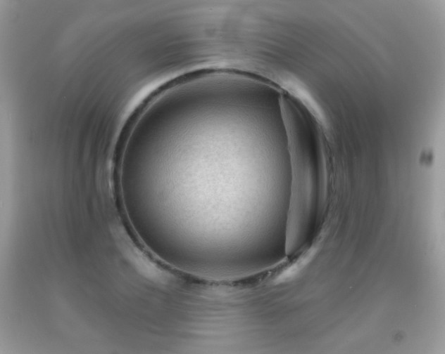 X0000092010932200709061529