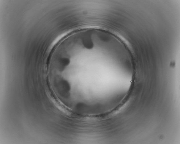 X0000092010933200709061529