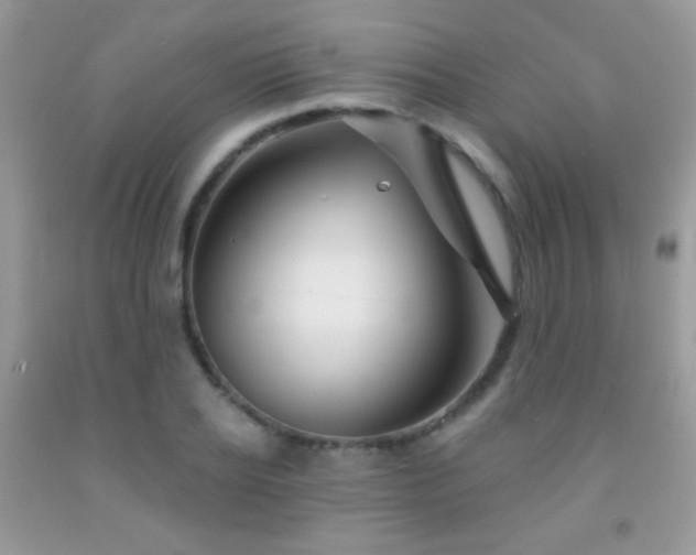 X0000092010934200709061529