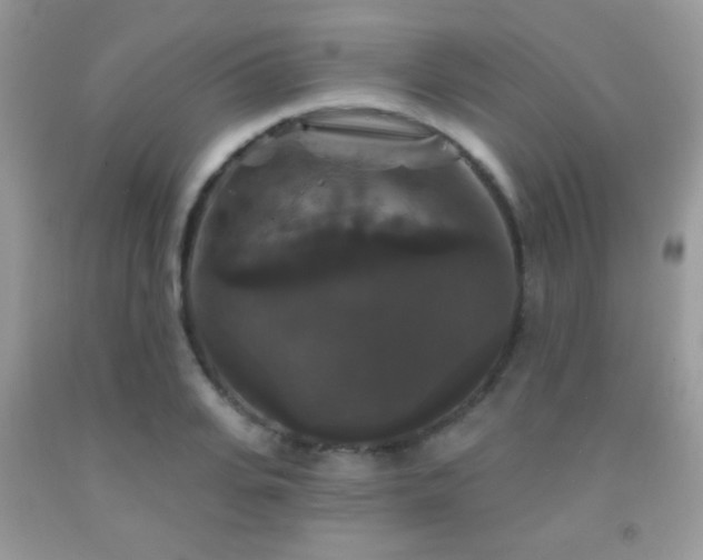 X0000092010935200709061529