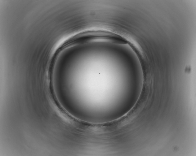 X0000092010936200709061529