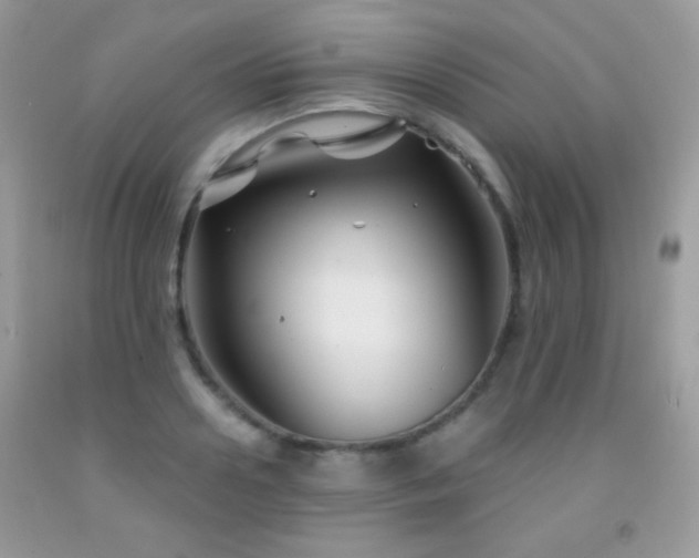 X0000092010938200709061529