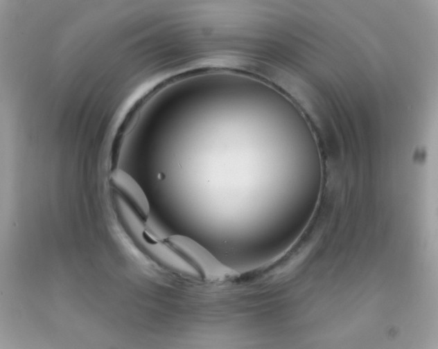 X0000092010939200709061529