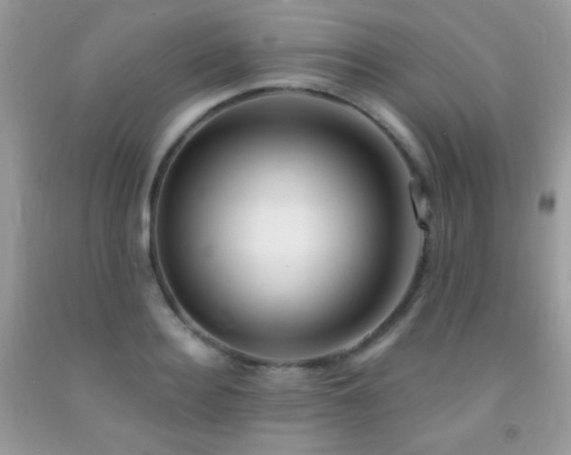 X0000092010940200709061529