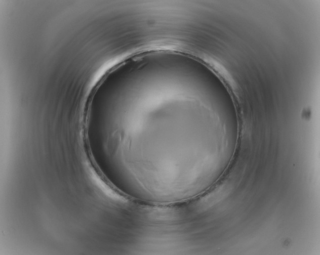 X0000092010941200709061529