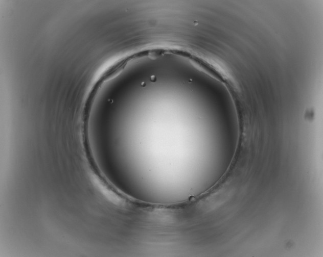 X0000092010942200709061529