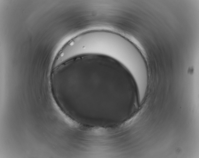 X0000092010943200709061529