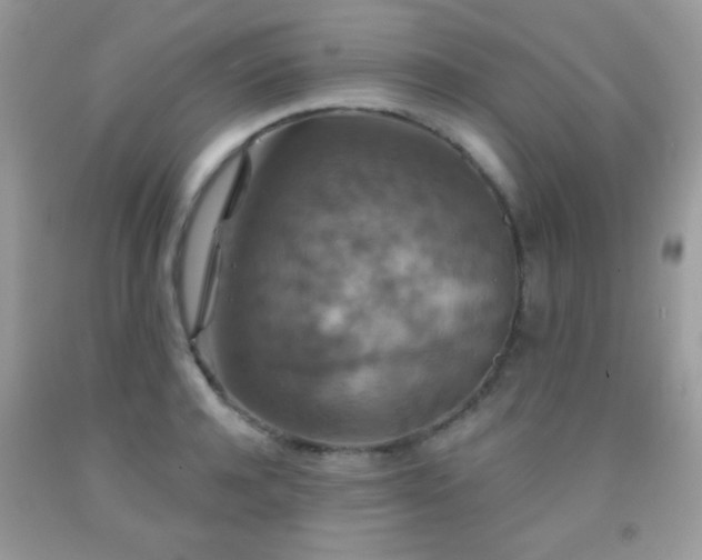 X0000092010944200709061529