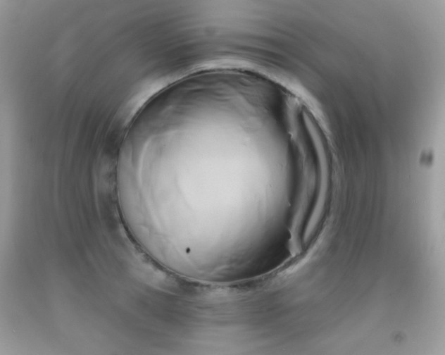 X0000092010945200709061529