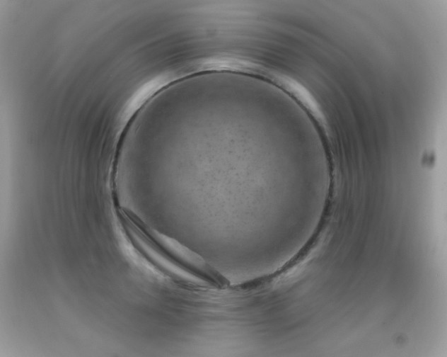 X0000092010946200709061529