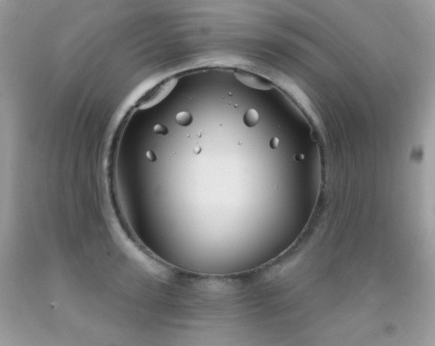 X0000092010947200709061529