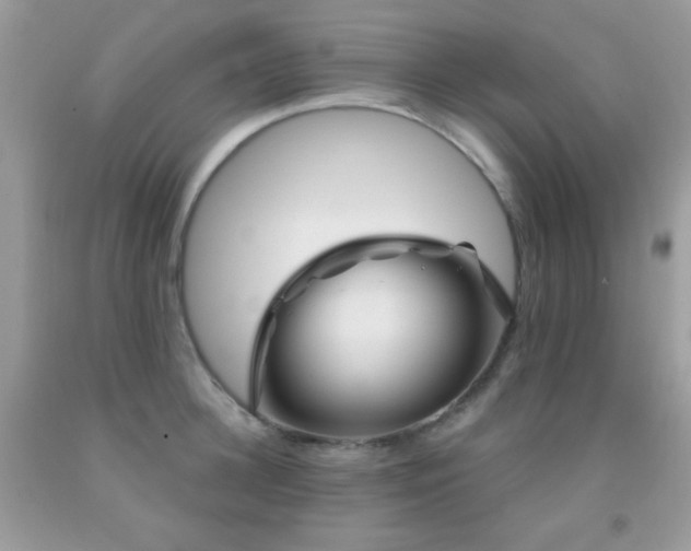 X0000092010948200709061529