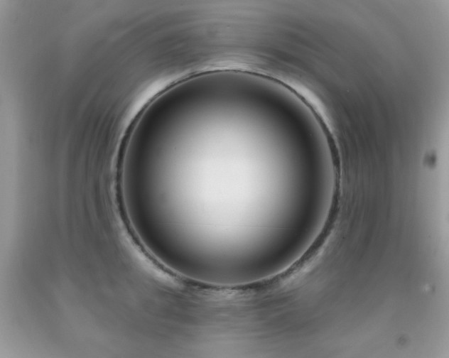 X0000092010949200709061529