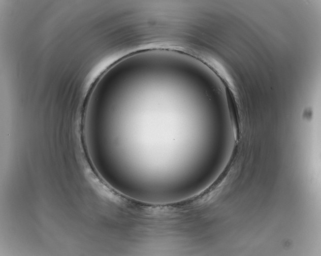 X0000092010952200709061529