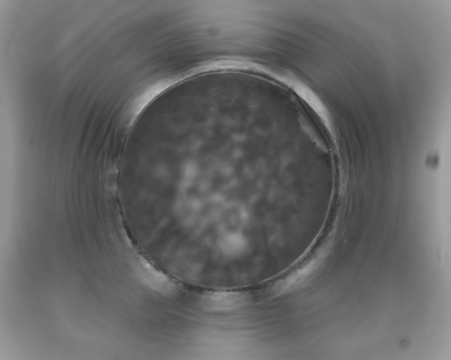 X0000092010953200709061529