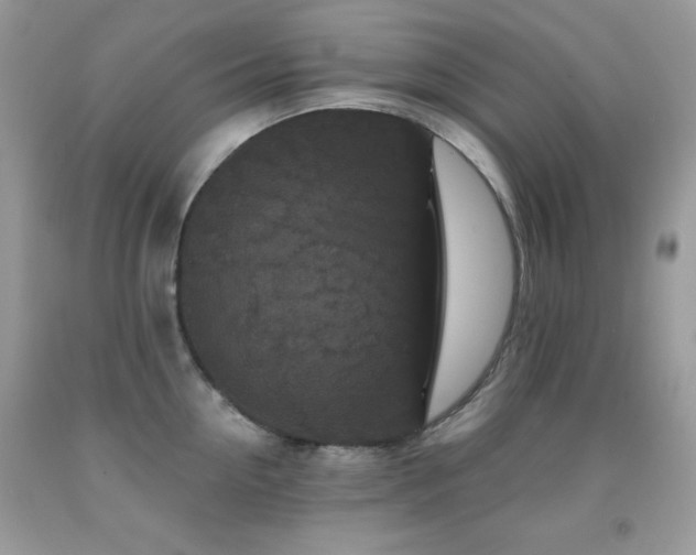 X0000092010954200709061529