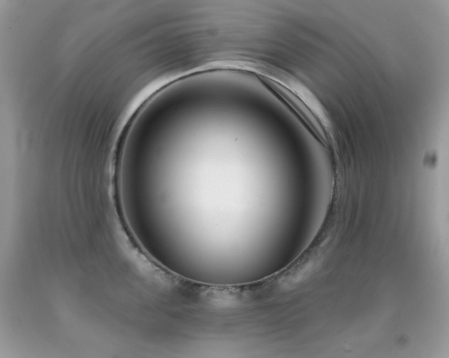 X0000092010955200709061529