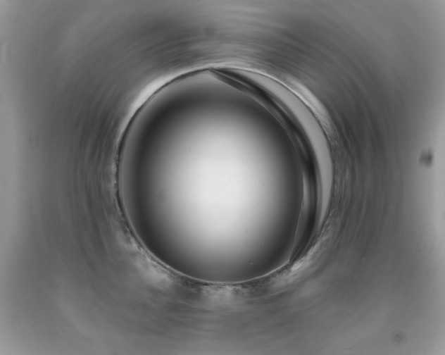 X0000092010956200709061529