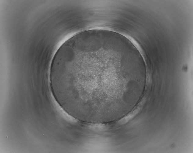 X0000092010957200709061529