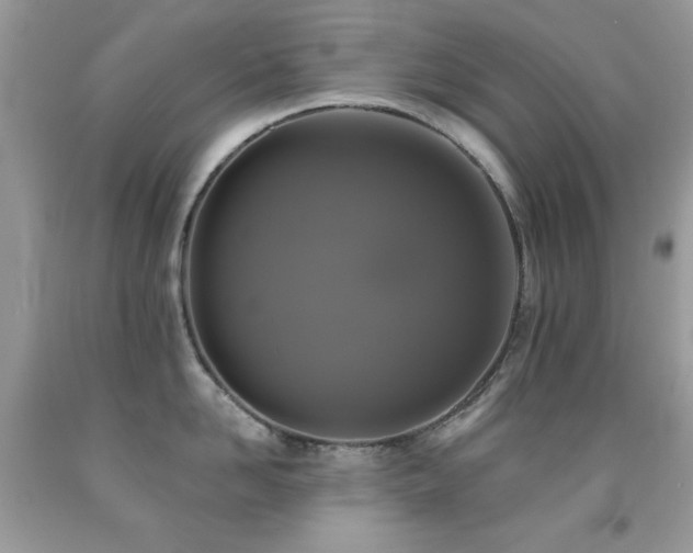 X0000092010958200709061529