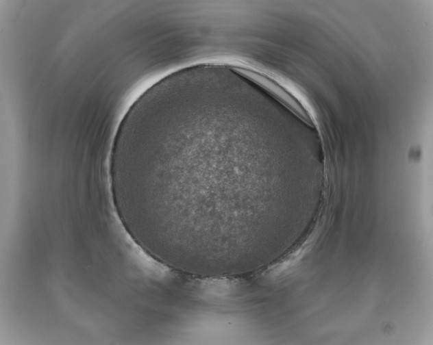X0000092010959200709061529