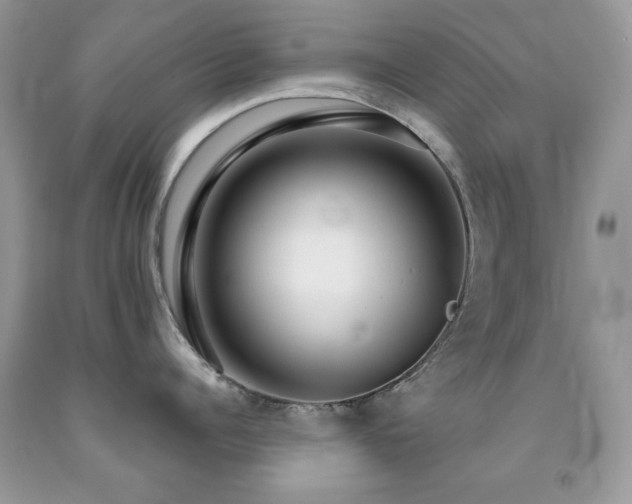 X0000092010960200709061529