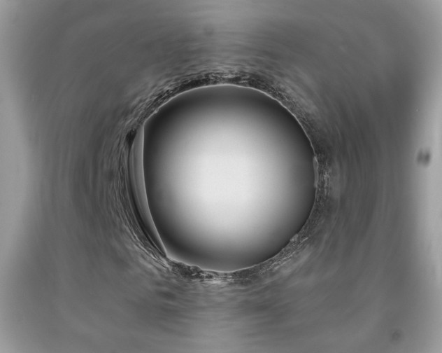 X0000092010961200709061529