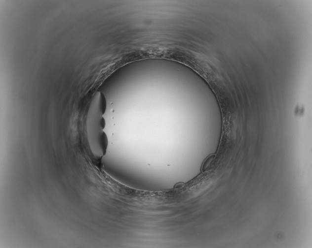 X0000092010962200709061529
