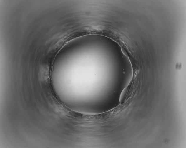 X0000092010963200709061529