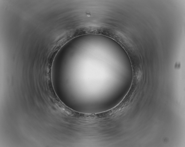 X0000092010964200709061529