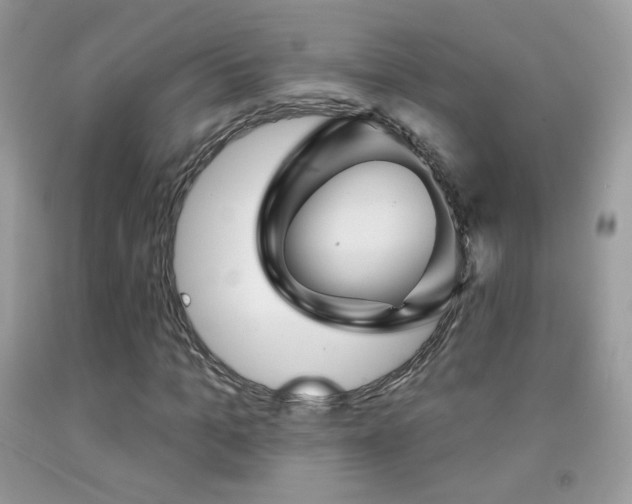 X0000092010965200709061529