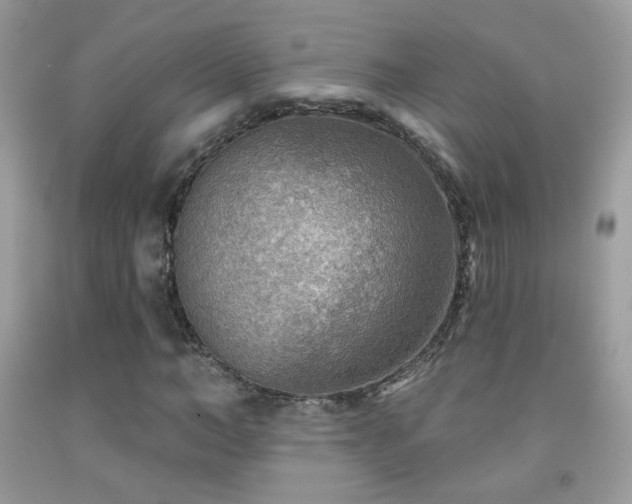 X0000092010966200709061529