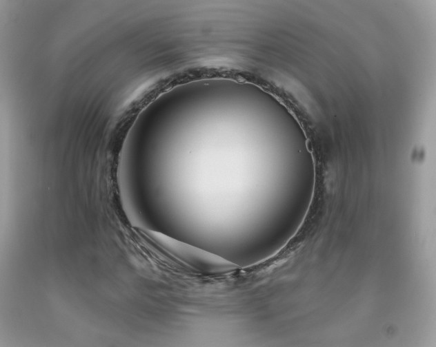 X0000092010968200709061529