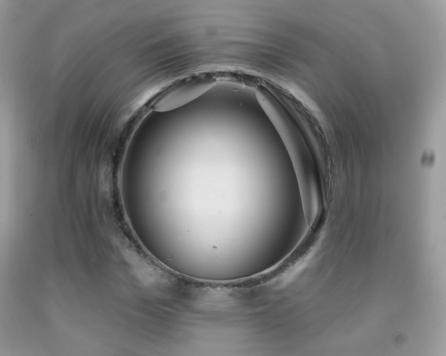 X0000092010969200709061529
