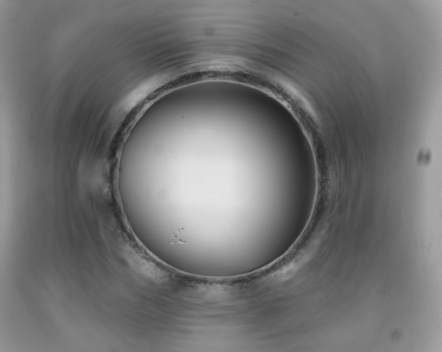 X0000092010970200709061529