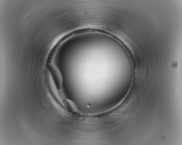 X0000092010972200709061529